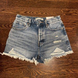 Light Blue Ripped Vintage High Waisted Denim Shorts